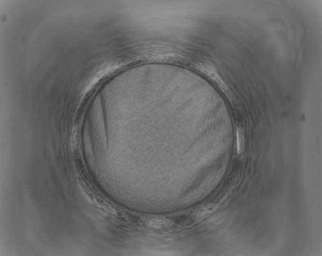 X0000088400579200706191400