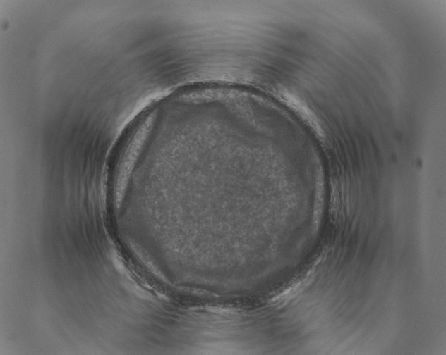 X0000088400580200706191400