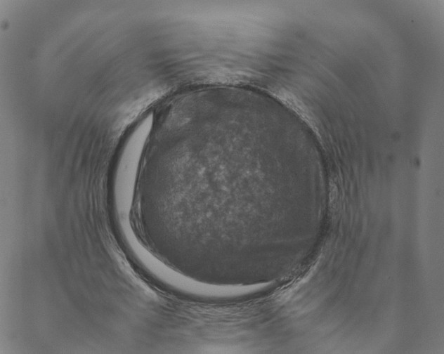 X0000088400581200706191400