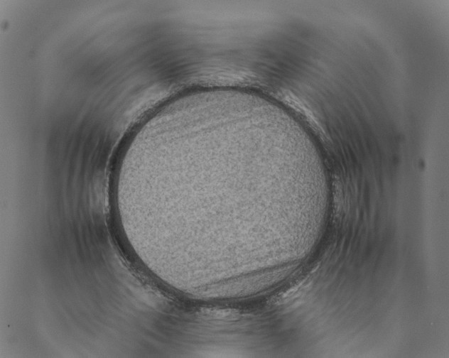 X0000088400582200706191400