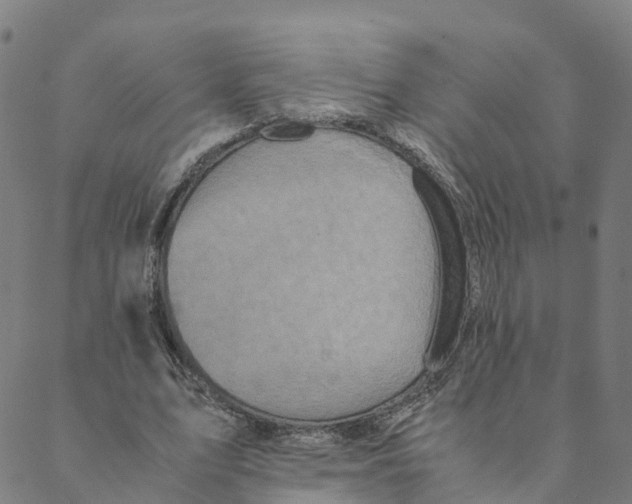 X0000088400583200706191400