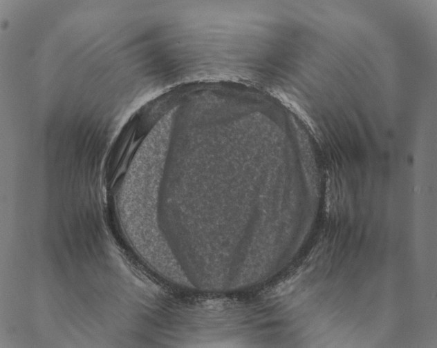 X0000088400584200706191400