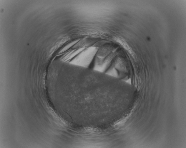 X0000088400585200706191400