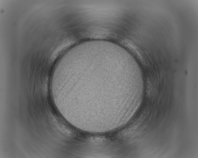 X0000088400586200706191359