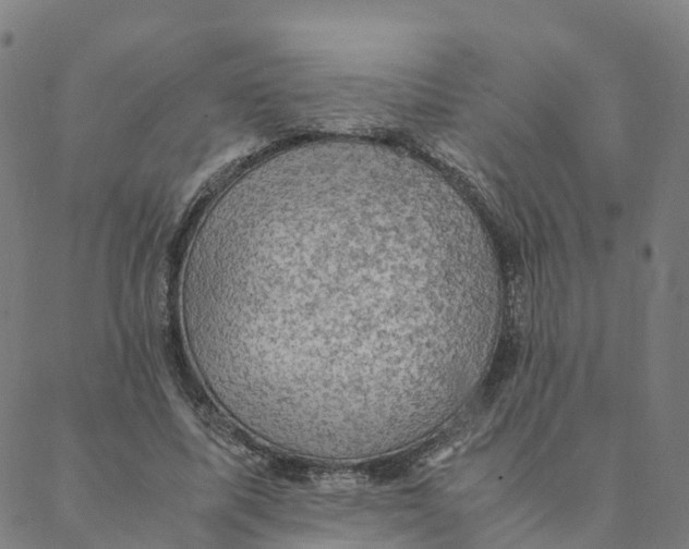 X0000088400587200706191359