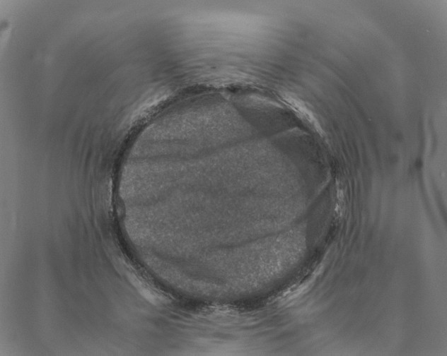 X0000088400589200706191359