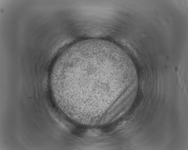 X0000088400591200706191359