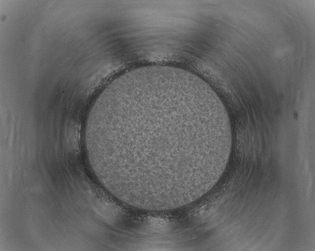 X0000088400592200706191359