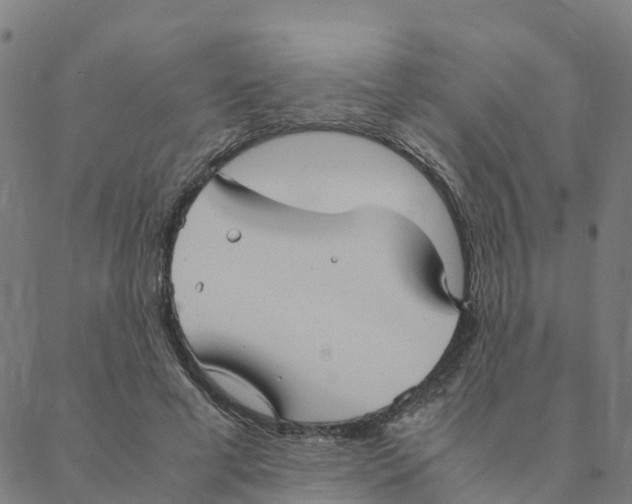 X0000088400593200706191359