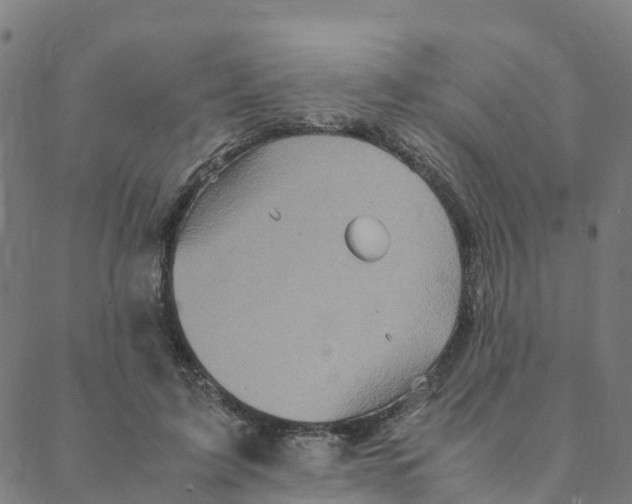 X0000088400595200706191359