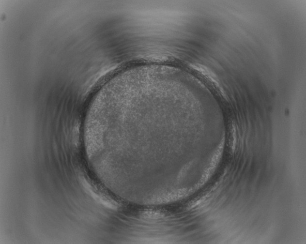 X0000088400596200706191359