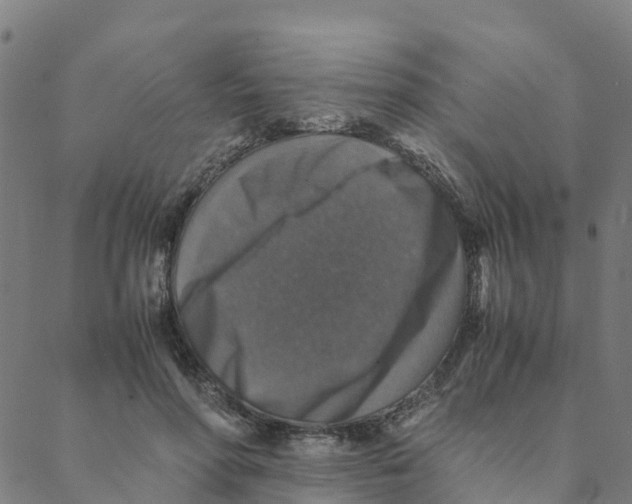 X0000088400598200706191359