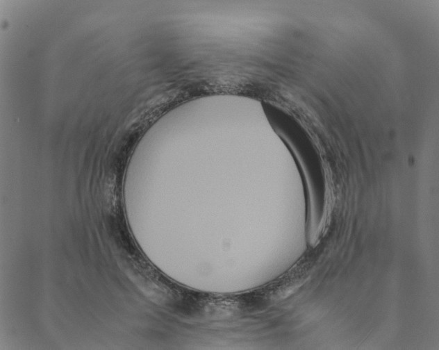 X0000088400599200706191359