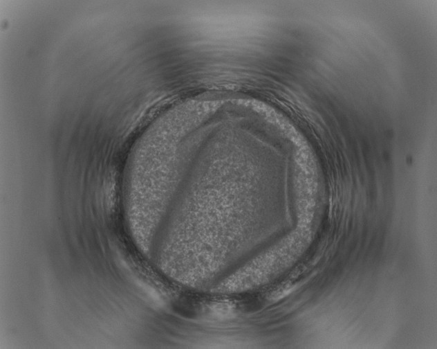 X0000088400600200706191359