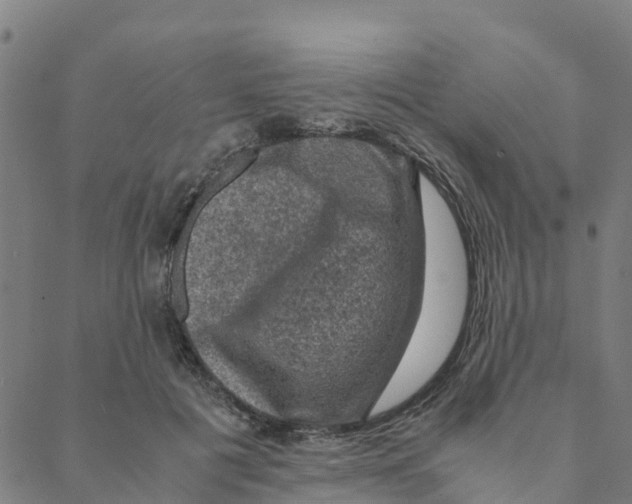 X0000088400601200706191359