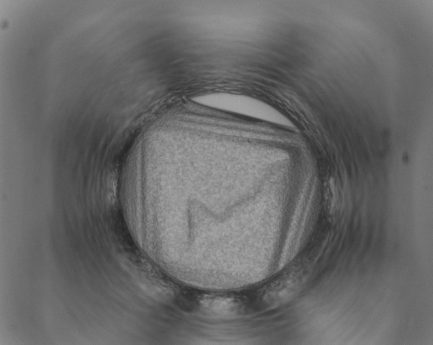 X0000088400602200706191359