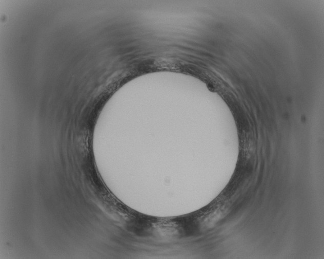 X0000088400603200706191359