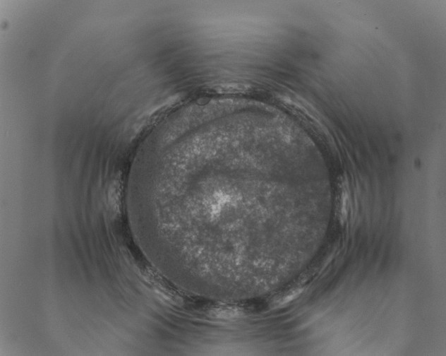 X0000088400604200706191359