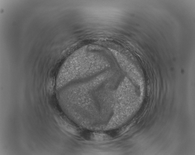 X0000088400605200706191359