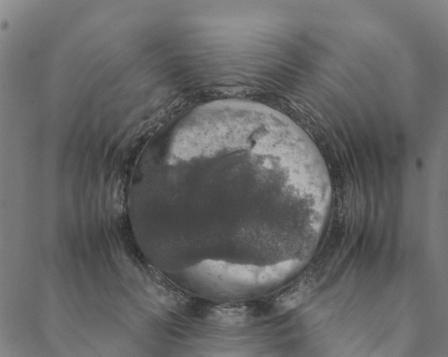 X0000088400606200706191359