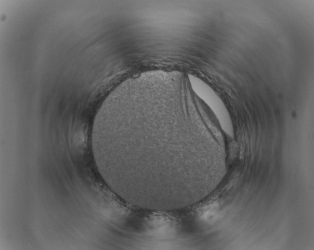 X0000088400608200706191359