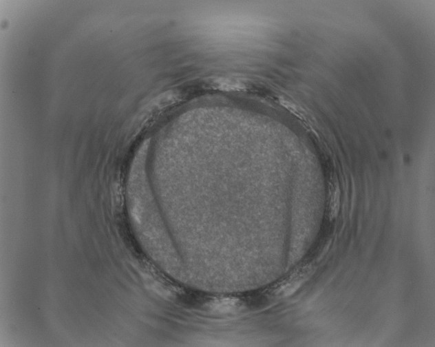 X0000088400609200706191359