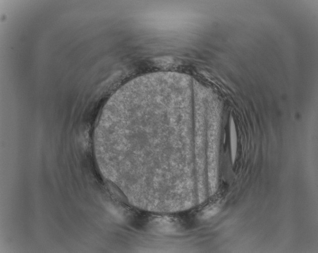 X0000088400611200706191359