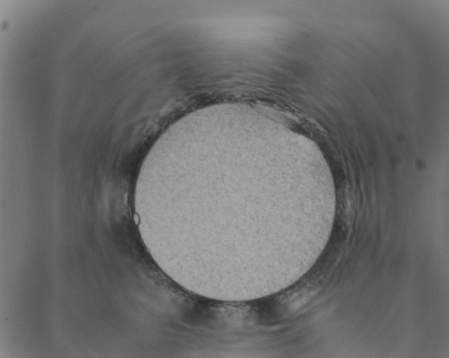 X0000088400615200706191359