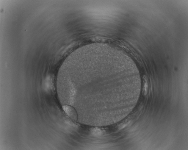 X0000088400616200706191359