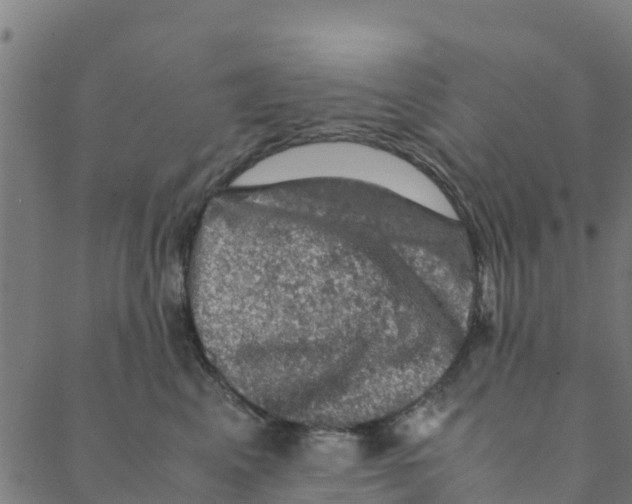 X0000088400617200706191359