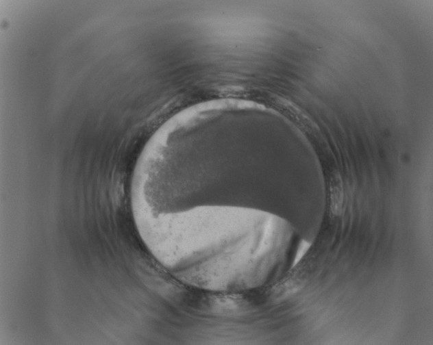 X0000088400618200706191359