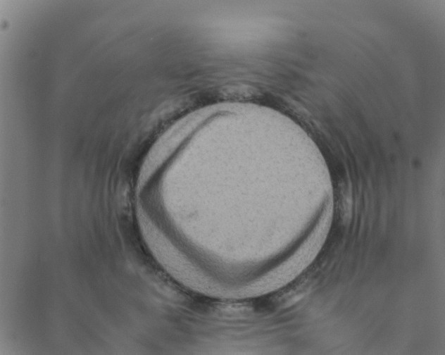 X0000088400619200706191359