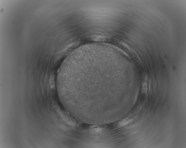 X0000088400620200706191359