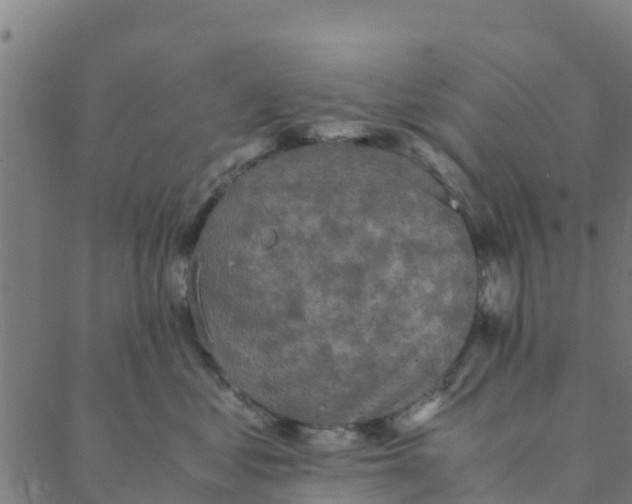 X0000088400621200706191359