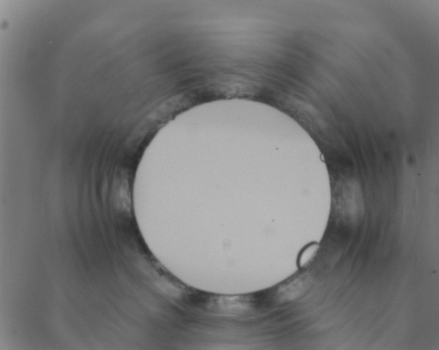 X0000088400622200706191359