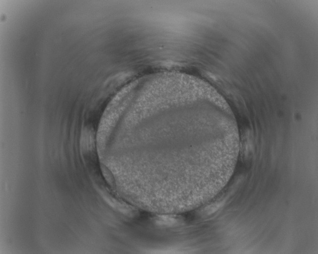 X0000088400623200706191359