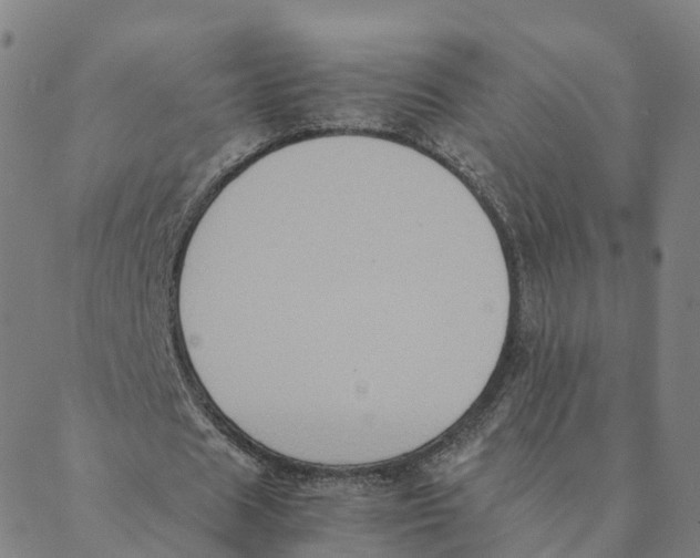 X0000088400625200706191358