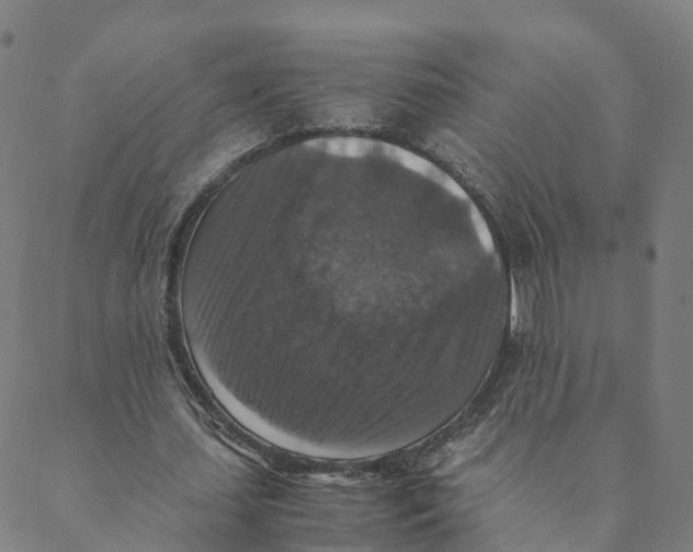 X0000088400627200706191358