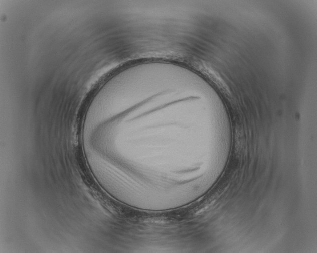 X0000088400628200706191358