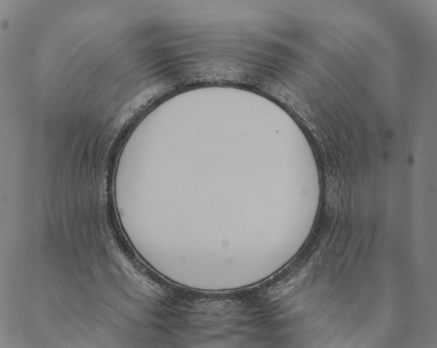 X0000088400629200706191358