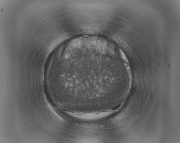 X0000088400630200706191358