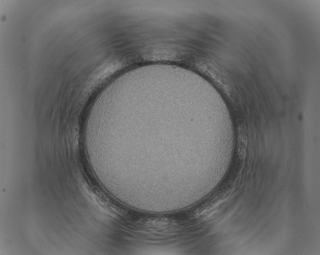 X0000088400631200706191358