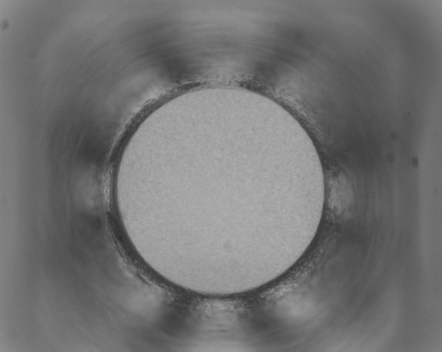 X0000088400632200706191358