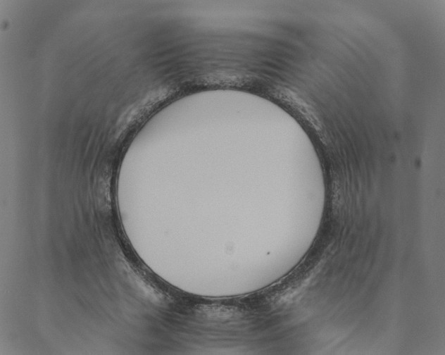 X0000088400633200706191358