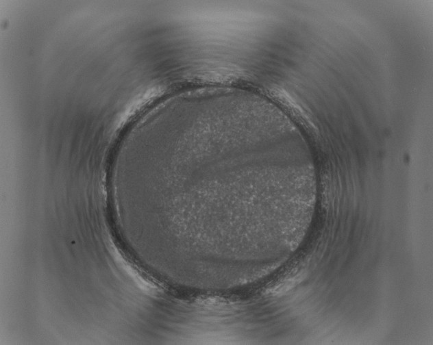 X0000088400634200706191358