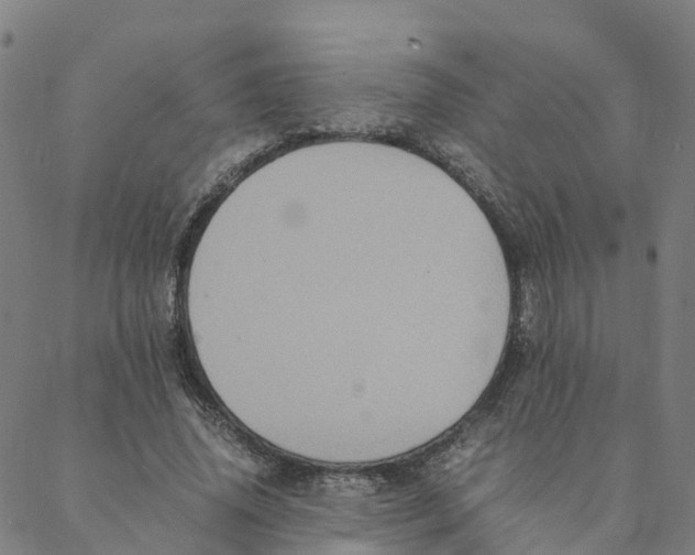 X0000088400636200706191358