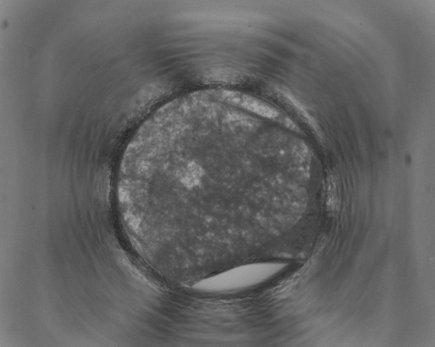 X0000088400637200706191358