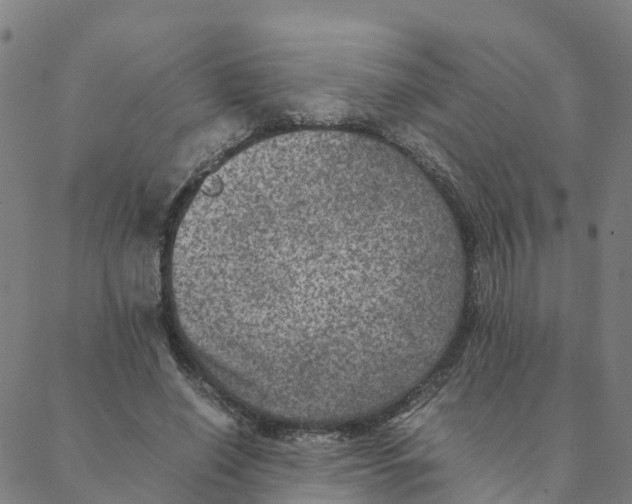 X0000088400638200706191358