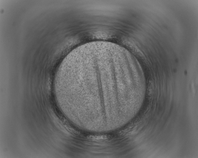 X0000088400639200706191358