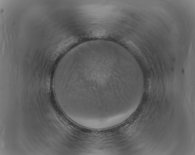 X0000088400640200706191358